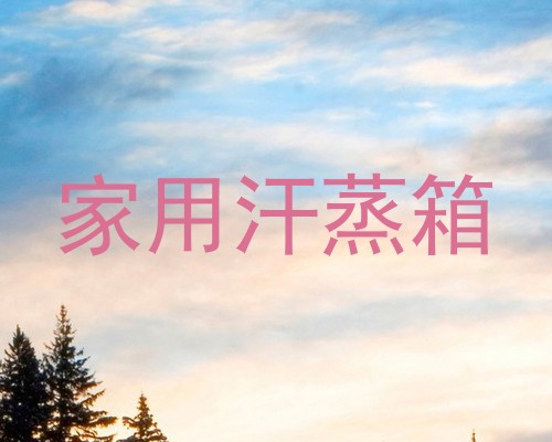 家用汗蒸箱