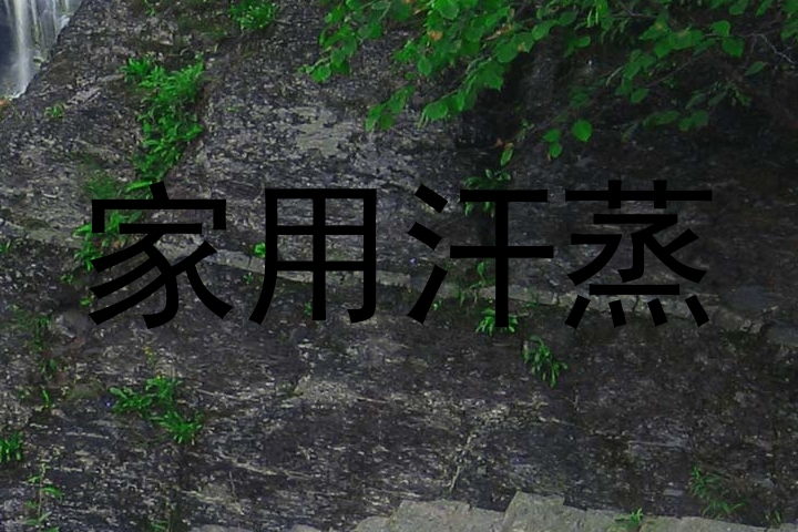 家用汗蒸