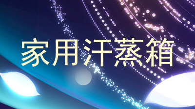 家用汗蒸箱