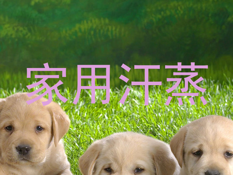 家用汗蒸