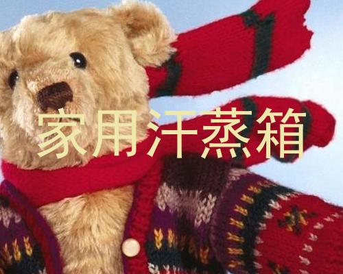 家用汗蒸箱
