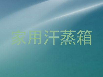 家用汗蒸箱
