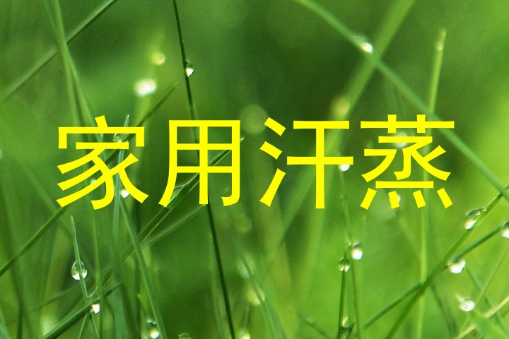 家用汗蒸