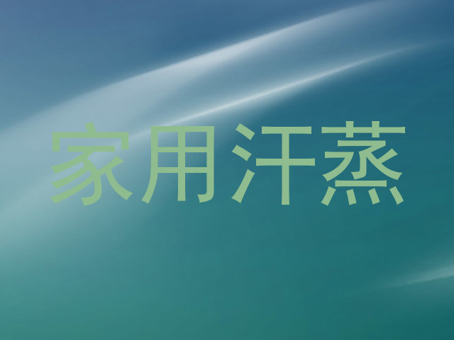 家用汗蒸