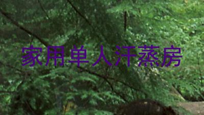 家用单人汗蒸房