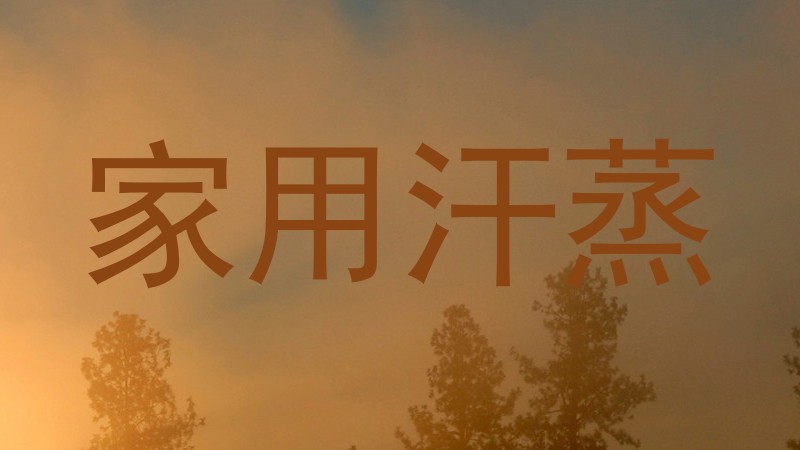 家用汗蒸