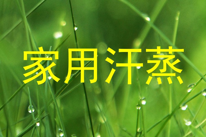 家用汗蒸