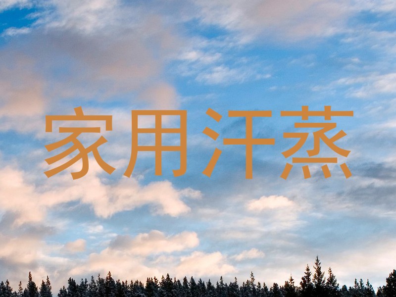 家用汗蒸