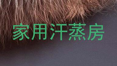 家用汗蒸房