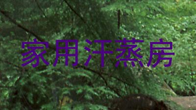 家用汗蒸房