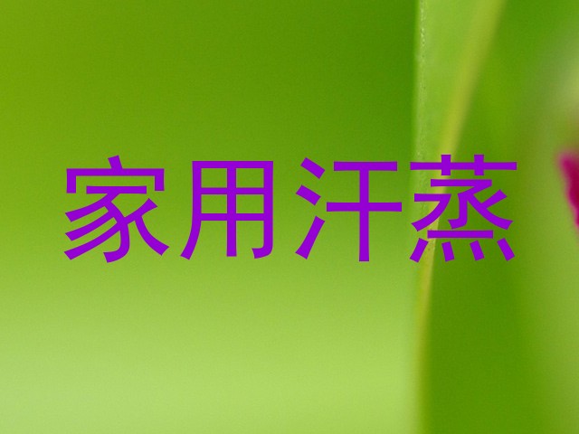 家用汗蒸