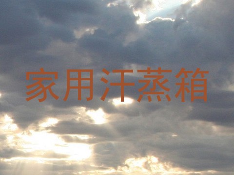 家用汗蒸箱