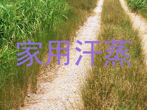 家用汗蒸