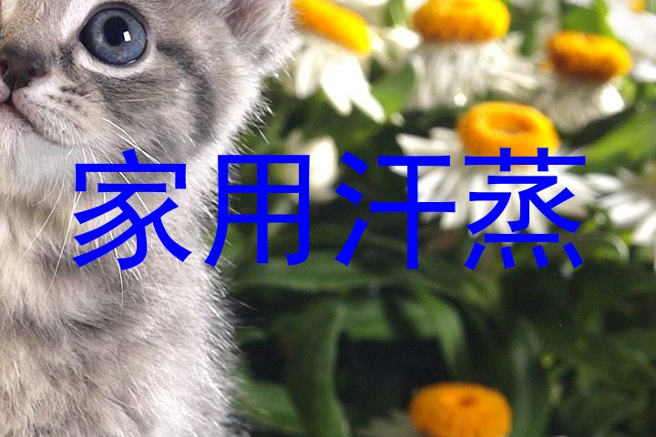 家用汗蒸