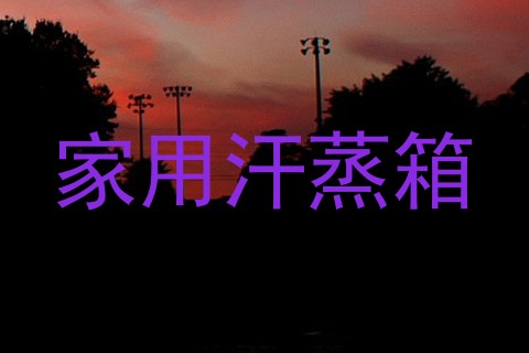 家用汗蒸箱