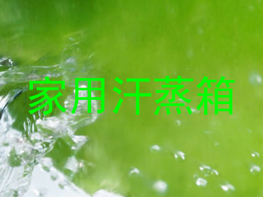 家用汗蒸箱