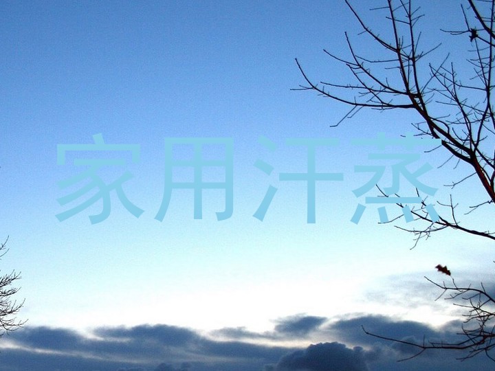 家用汗蒸