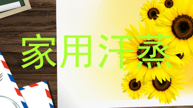 家用汗蒸