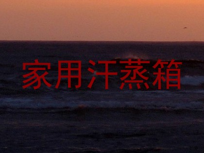 家用汗蒸箱