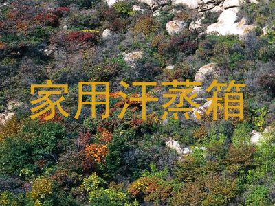 家用汗蒸箱