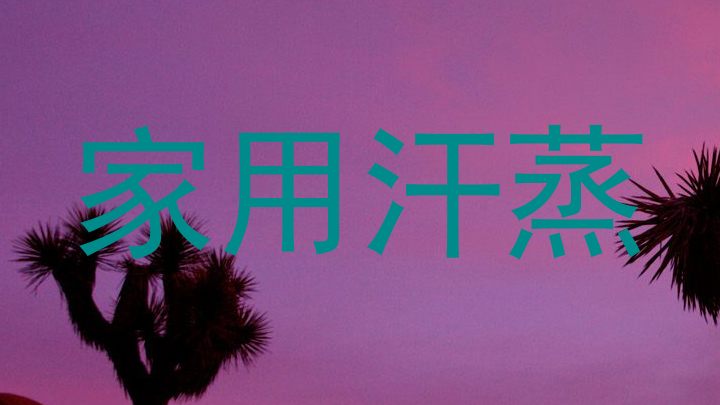 家用汗蒸