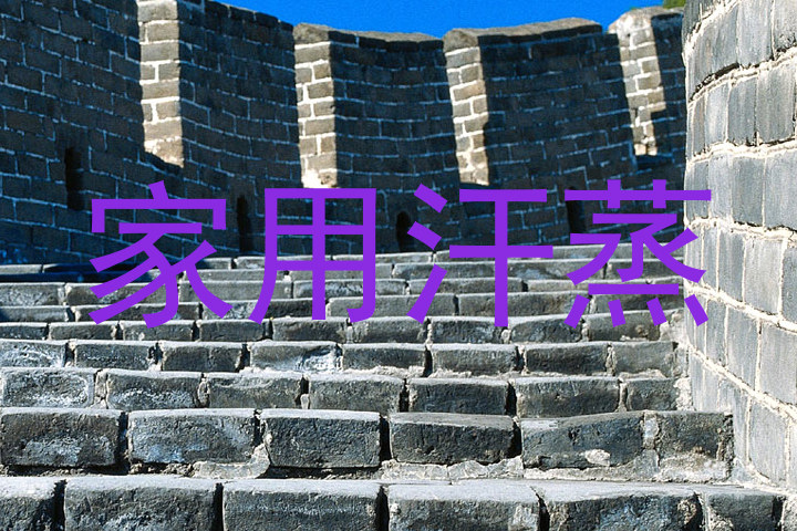 家用汗蒸