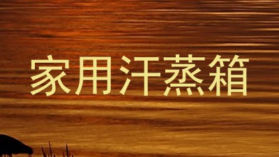 家用汗蒸箱