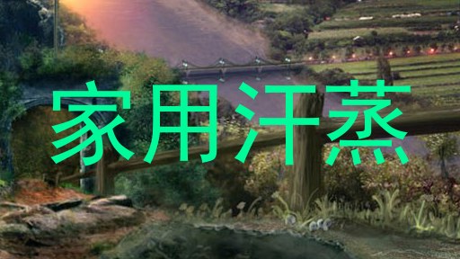 家用汗蒸