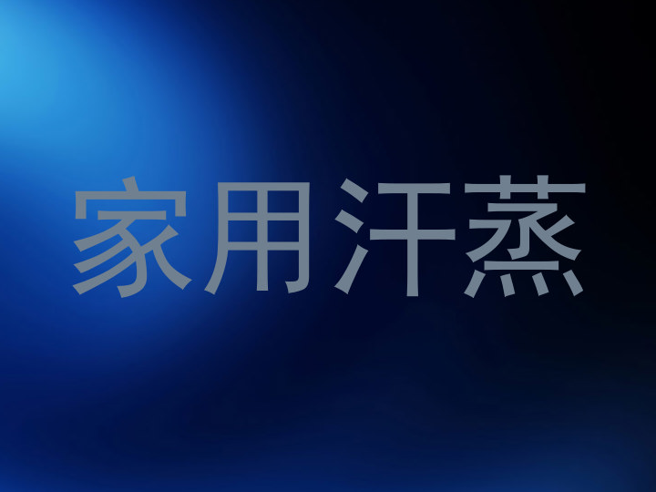 家用汗蒸