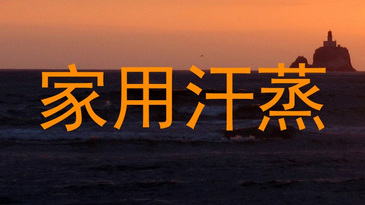 家用汗蒸