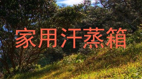 家用汗蒸箱