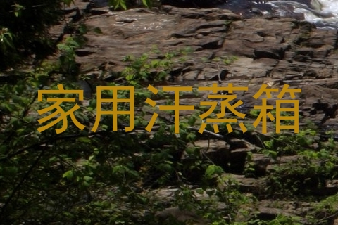 家用汗蒸箱