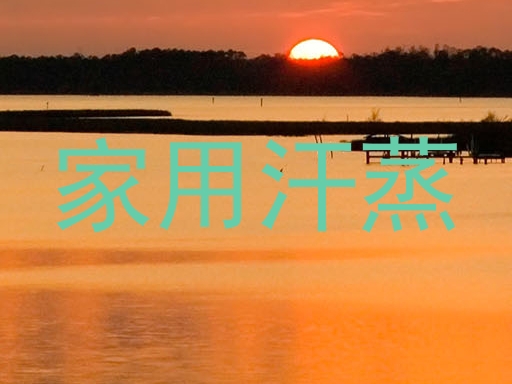 家用汗蒸