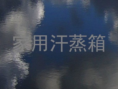 家用汗蒸箱