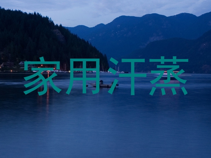 家用汗蒸