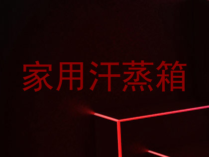 家用汗蒸箱