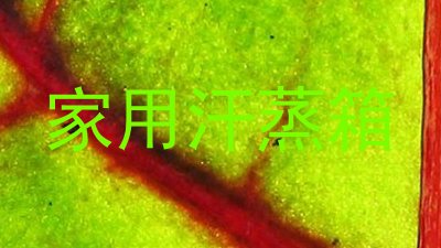 家用汗蒸箱