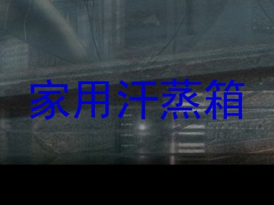 家用汗蒸箱