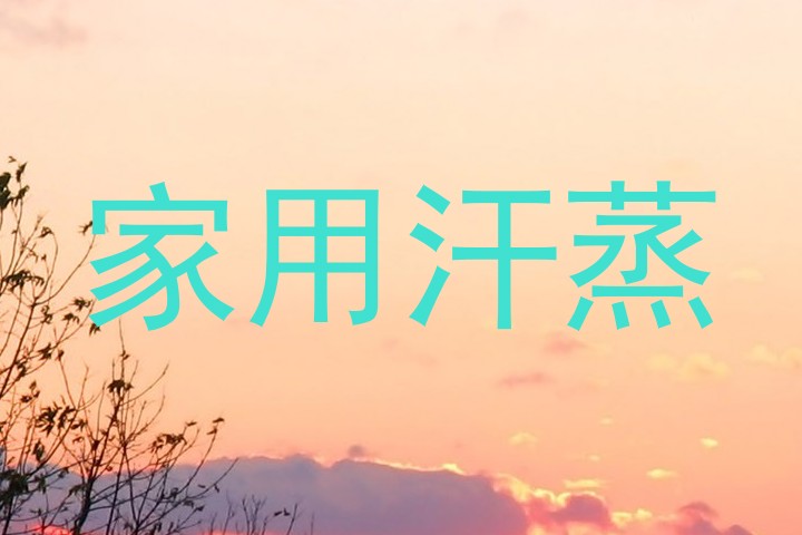 家用汗蒸
