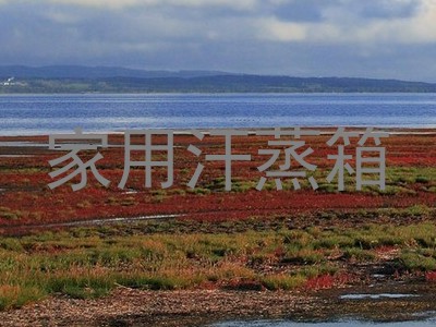 家用汗蒸箱