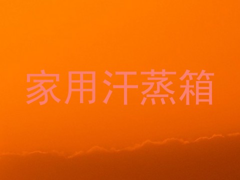 家用汗蒸箱