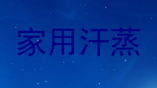 家用汗蒸