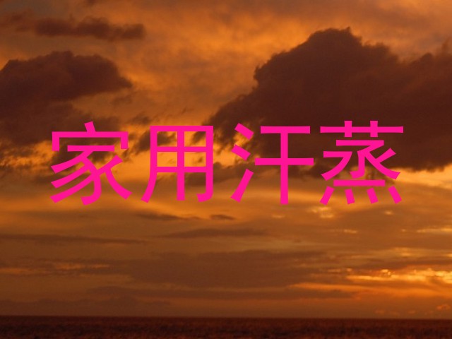 家用汗蒸