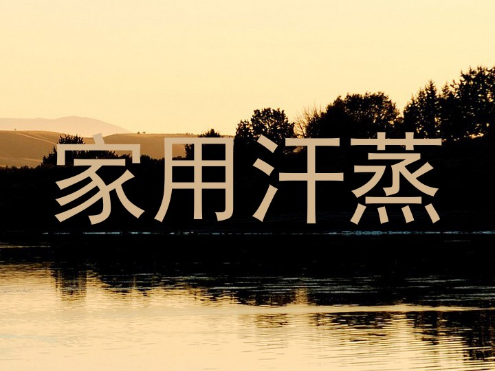 家用汗蒸