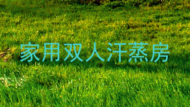 家用双人汗蒸房