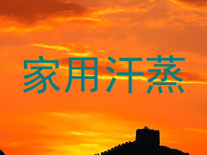 家用汗蒸