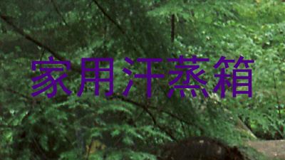 家用汗蒸箱