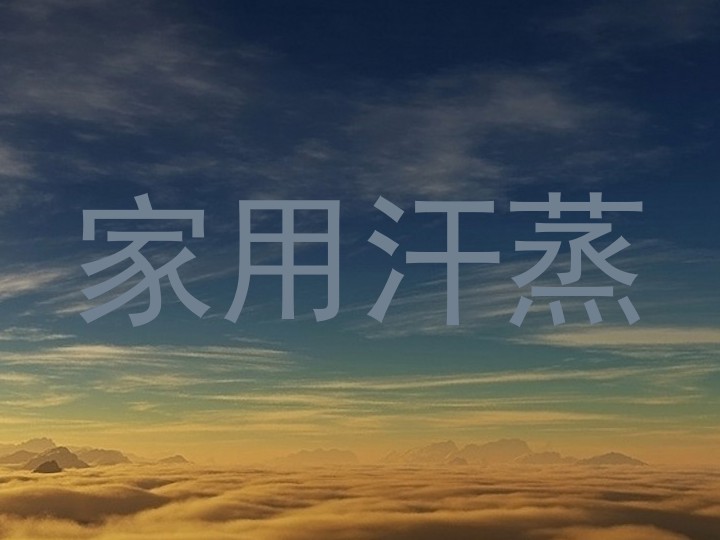 家用汗蒸