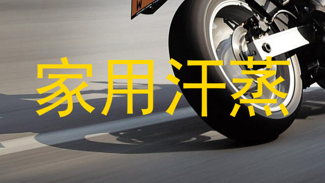 家用汗蒸
