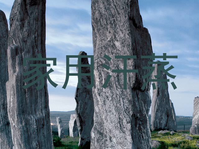 家用汗蒸